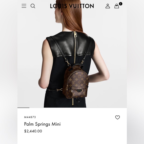 Louis Vuitton Mini Palm Springs Backpack - Picture 12 of 13